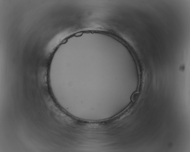 X0000116551455200912311901