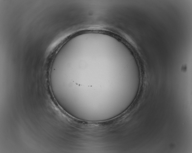 X0000116551456200912311901