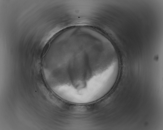 X0000116551457200912311901