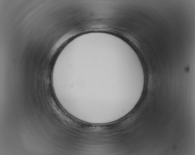 X0000116551458200912311901