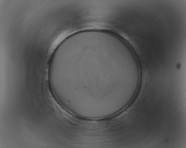 X0000116551459200912311901