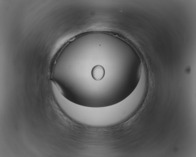 X0000116551461200912311901