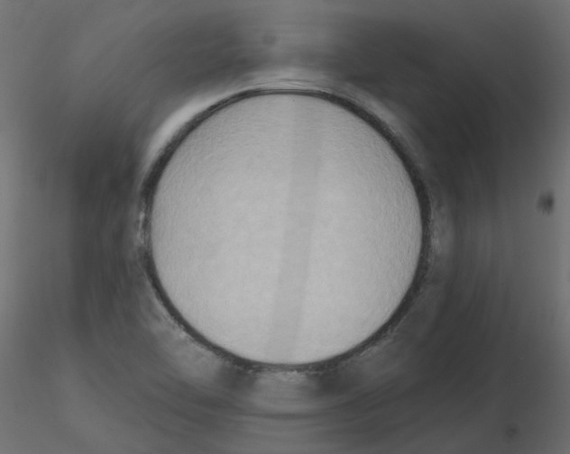 X0000116551462200912311901