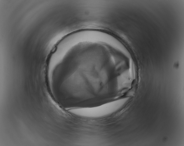 X0000116551463200912311901