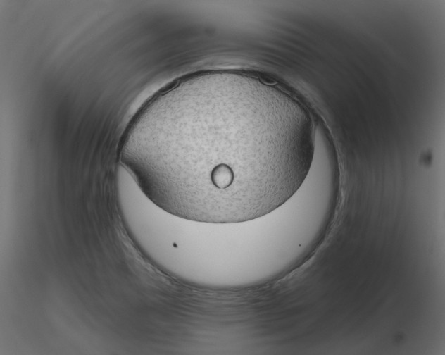 X0000116551465200912311901