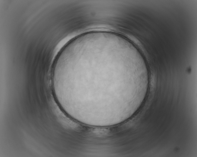 X0000116551466200912311901