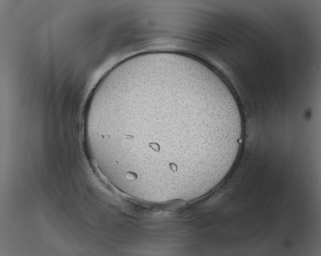 X0000116551467200912311901