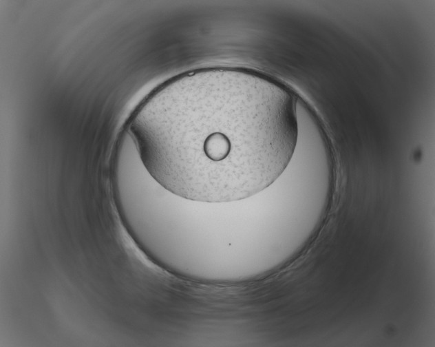 X0000116551468200912311901