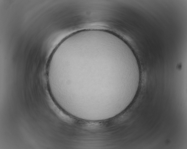 X0000116551470200912311901