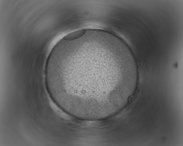 X0000116551471200912311901