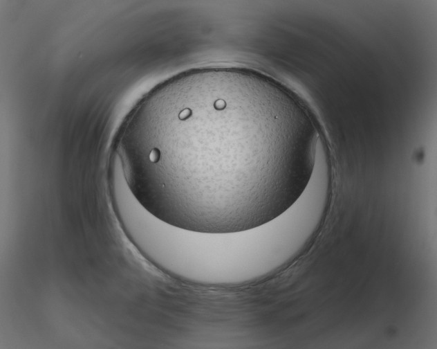 X0000116551472200912311901