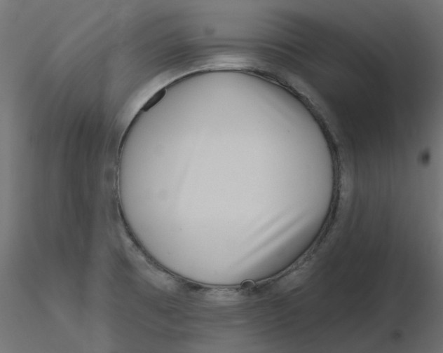 X0000116551473200912311901