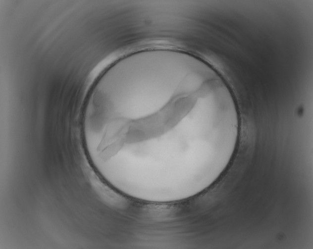 X0000116551474200912311901