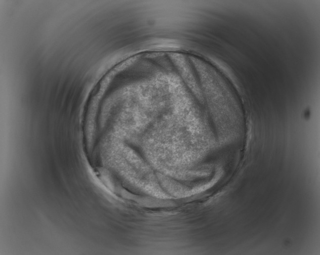 X0000116551475200912311901