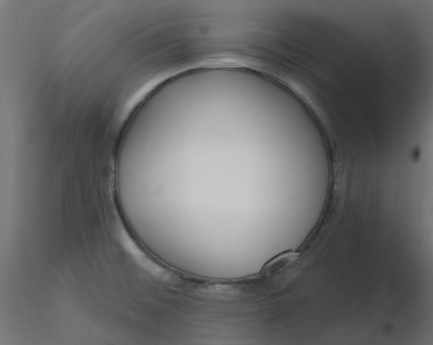 X0000116551476200912311901