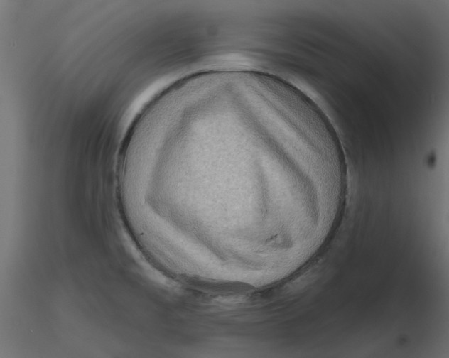 X0000116551477200912311901