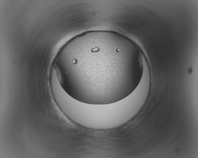 X0000116551480200912311901