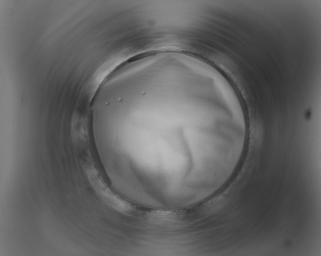 X0000116551481200912311901