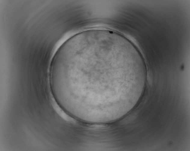 X0000116551482200912311901