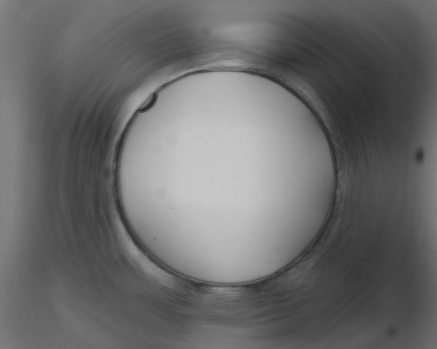 X0000116551483200912311901