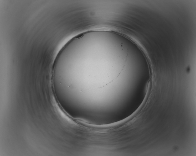 X0000116551484200912311901