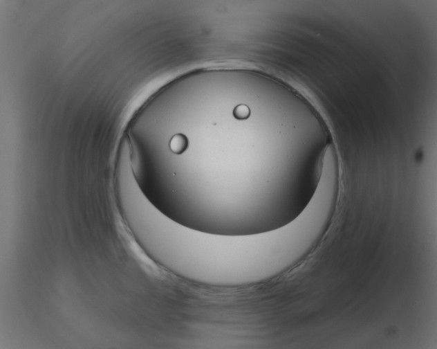 X0000116551485200912311901