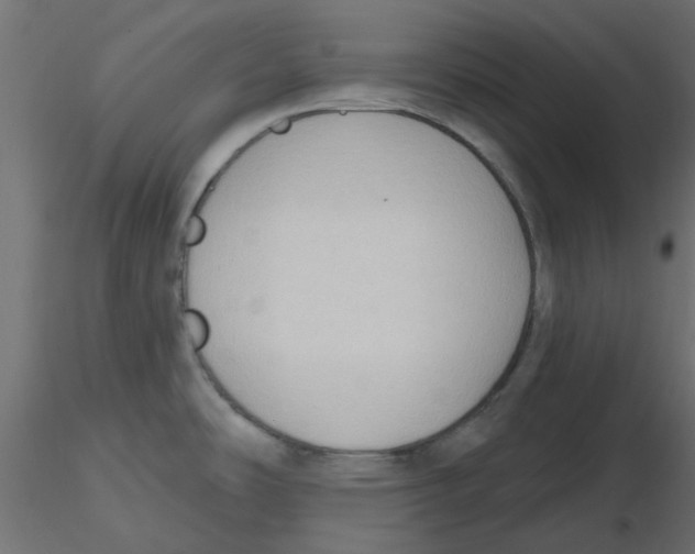 X0000116551486200912311901