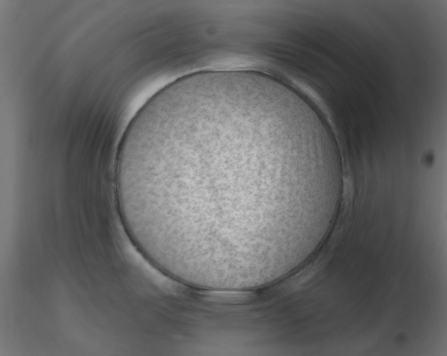 X0000116551487200912311901