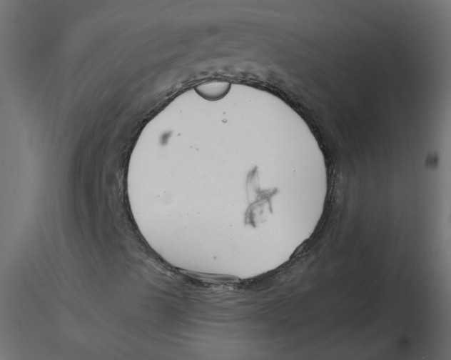 X0000116551489200912311900