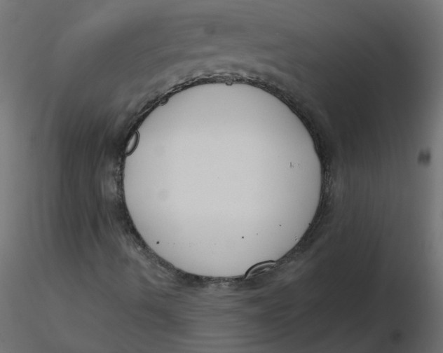 X0000116551490200912311900