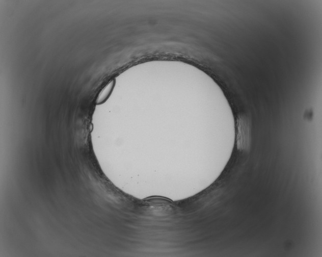 X0000116551491200912311900