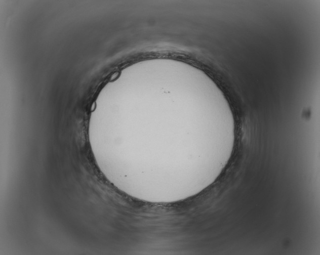 X0000116551493200912311900