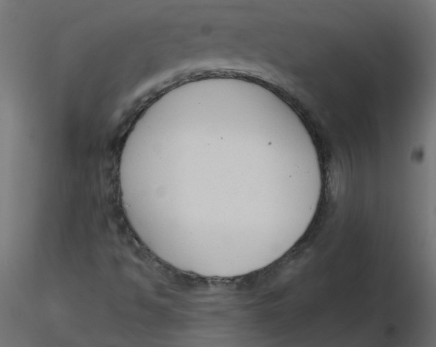 X0000116551494200912311900