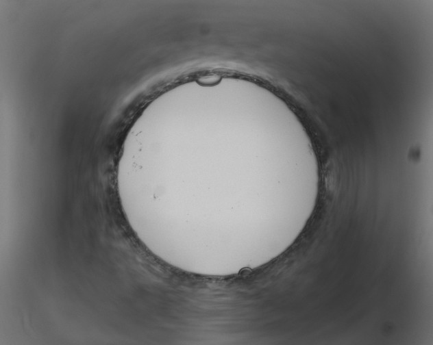 X0000116551495200912311900