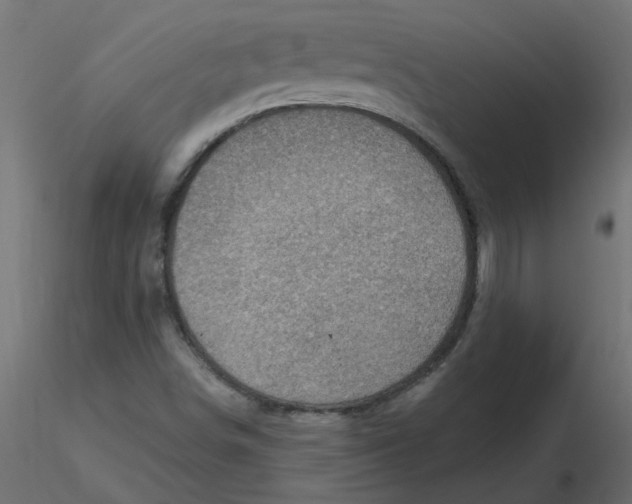 X0000116551498200912311900