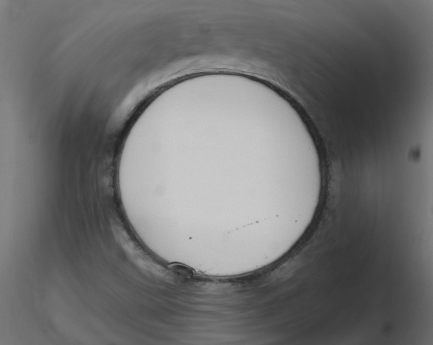 X0000116551499200912311900