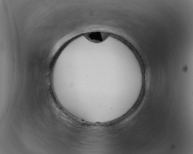 X0000116551501200912311900