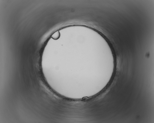 X0000116551502200912311900