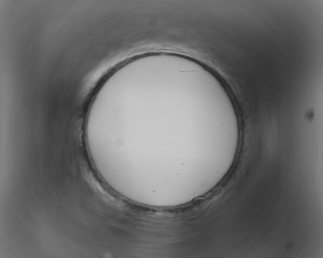 X0000116551503200912311900