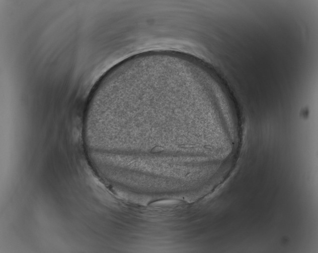 X0000116551505200912311901