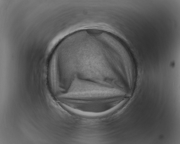 X0000116551506200912311901