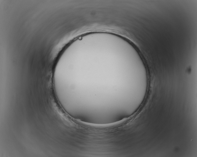 X0000116551507200912311901