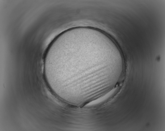 X0000116551509200912311901