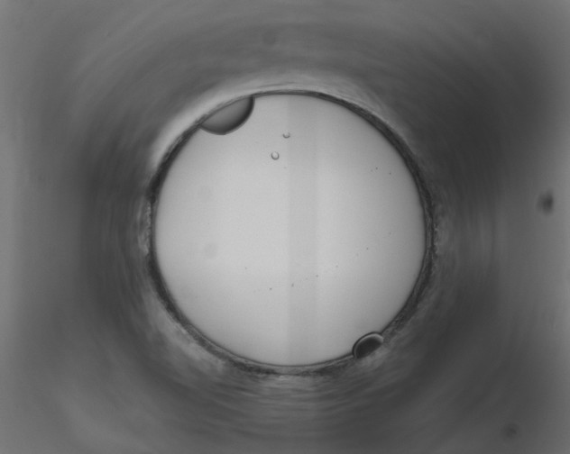 X0000116551510200912311901