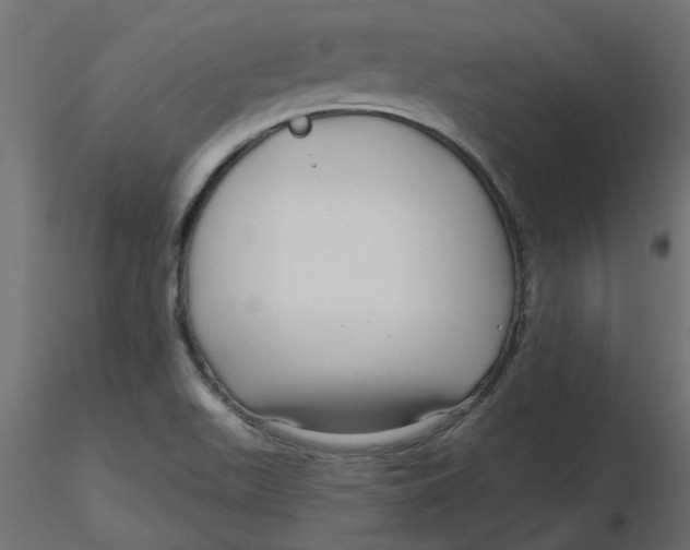 X0000116551511200912311901