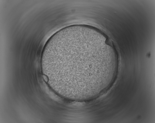 X0000116551513200912311901