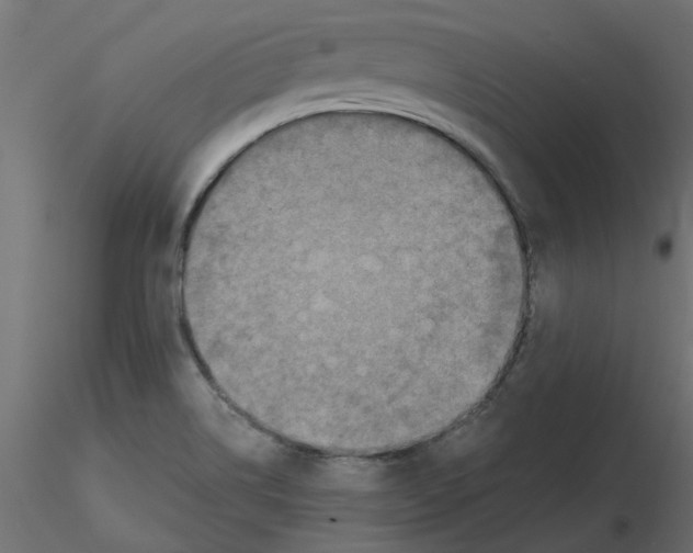 X0000116551514200912311901