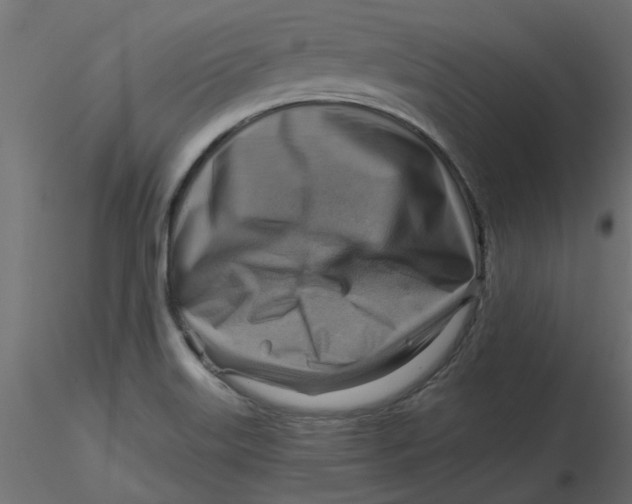 X0000116551515200912311901