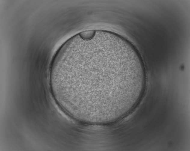 X0000116551517200912311901