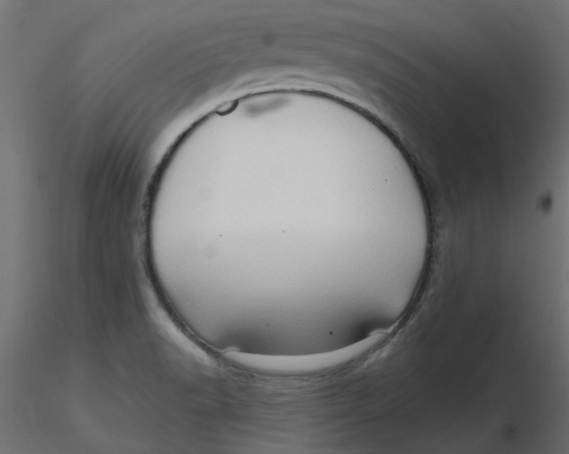 X0000116551518200912311901